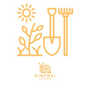 xinyori - landscaping